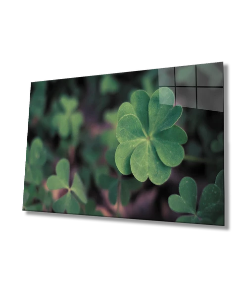 Yeşil Bitki Dekoratif ve Modern Cam Tablo    Green Plant