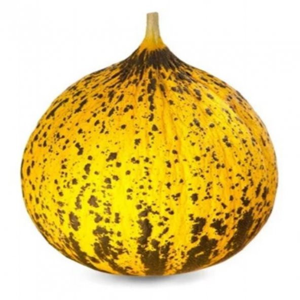 Meşhur Kırkağaç 637 Altınbaş Kavun Tohumu -4 Gram