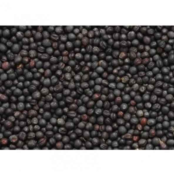 Agrobazaar Kanola tohumu Rapiska Tohumu 500 Gr - 1