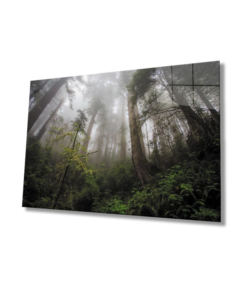 Orman Yeşil Manzara Ağaç ürün görseli 1