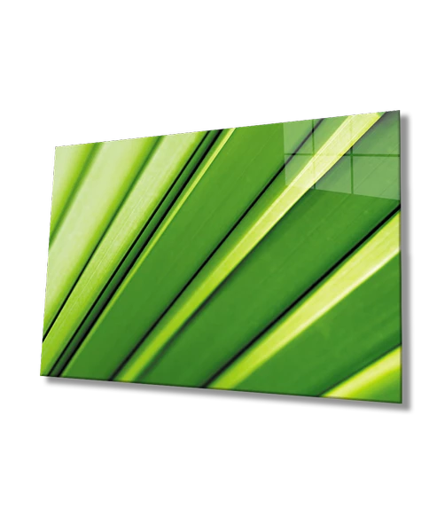 Yeşil Yaprak Green leaf