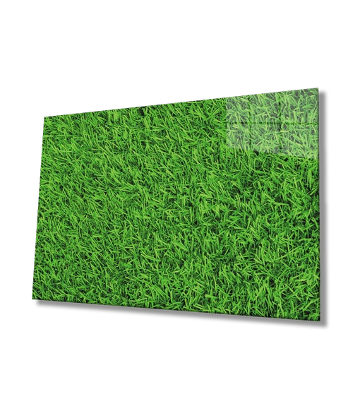 Yeşil Çimen Dekoratif ve Modern Cam Tablo   Green Grass
