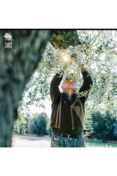 Tariş Kuzey Ege Natürel Sızma Zeytinyağı 5000 ml - 5