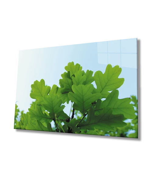 Yeşil Yapraklar Green Leaves