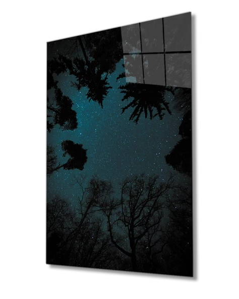 Aşağıdan Yukarı Doğru  Ağaçlar Dekoratif ve Modern Cam Tablo