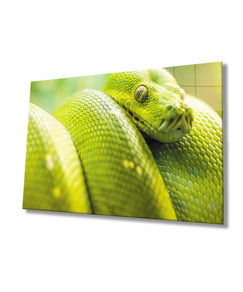 Yeşil Yılan Hayvan Dekoratif ve Modern Cam Tablo   Green Snake