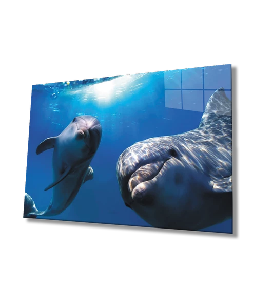 Yunus Balığı  SuAltı Dekoratif ve Modern Cam Tablo ürün görseli