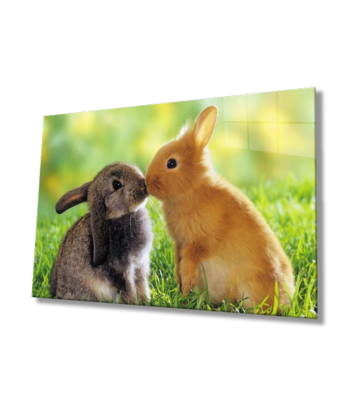 Tavşanlar Dekoratif ve Modern Cam Tablo ürün görseli