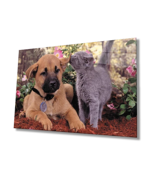 Kedi köpek Dekoratif ve Modern Cam Tablo ürün görseli