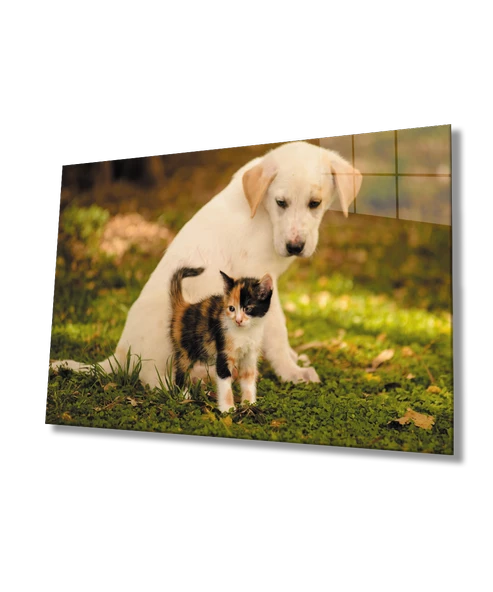 Kedi Köpek Dekoratif ve Modern Cam Tablo