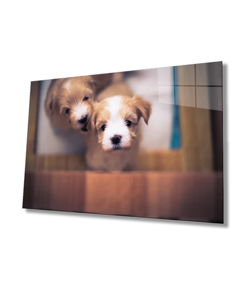 Köpekler Dekoratif ve Modern Cam Tablo ürün görseli