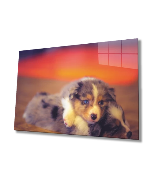 Sarılan  Köpekler Dekoratif ve Modern Cam Tablo