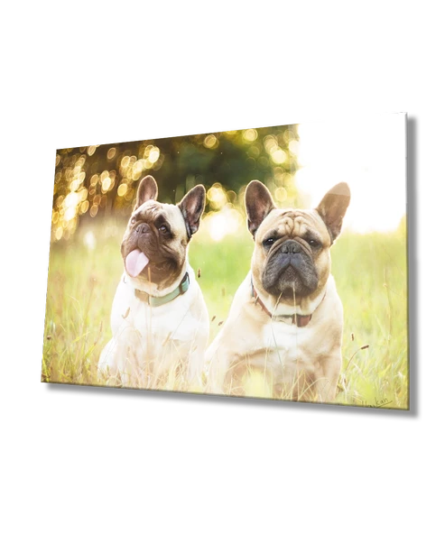 Köpekler Dekoratif ve Modern Cam Tablo ürün görseli