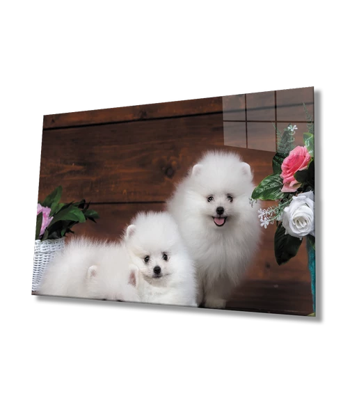 Köpekler Dekoratif ve Modern Cam Tablo ürün görseli 1