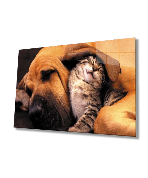 Kedi Köpek Dekoratif ve Modern Cam Tablo - Resim 2