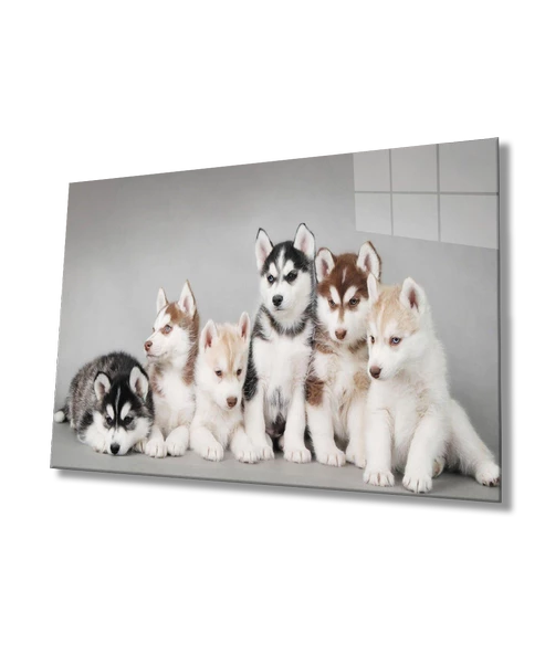 Köpekler Dekoratif ve Modern Cam Tablo ürün görseli