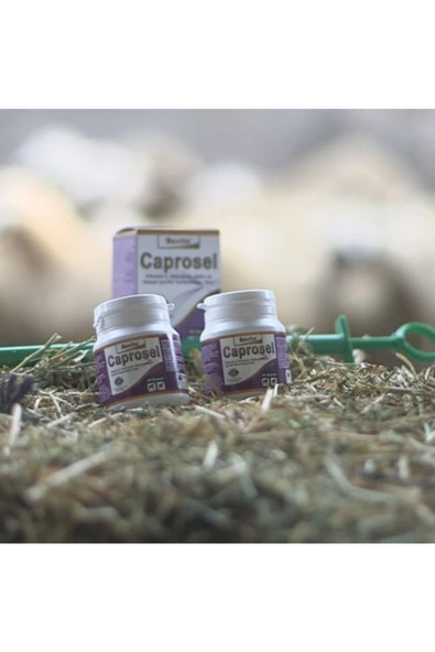 Rovita Caprosel Vitamin 50 Kapsül Koyun Bakır Hapı - 2