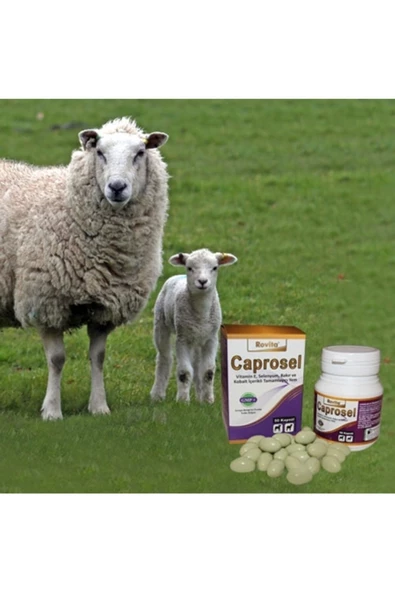 Rovita Caprosel Vitamin 50 Kapsül Koyun Bakır Hapı - 3