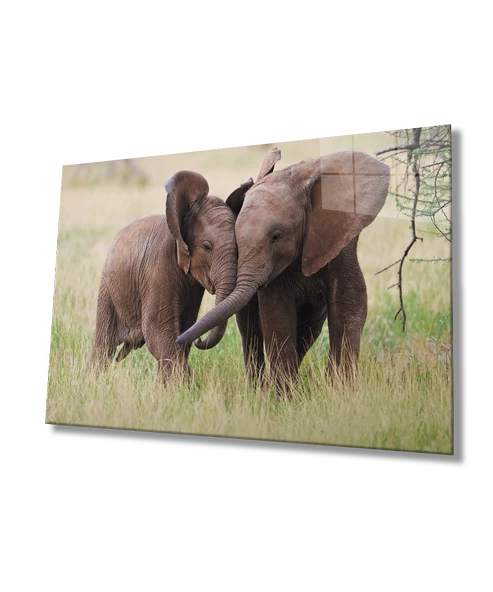 Filler Dekoratif ve Modern Cam Tablo ürün görseli 1