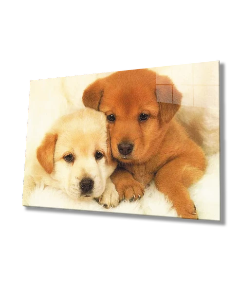 Köpekler Dekoratif ve Modern Cam Tablo