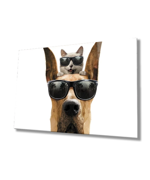 Gözlüklü Kedi ve Köpek Dekoratif ve Modern Cam Tablo ürün görseli