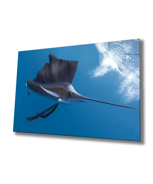 Sualtı Dekoratif ve Modern Cam Tablo Marine Life