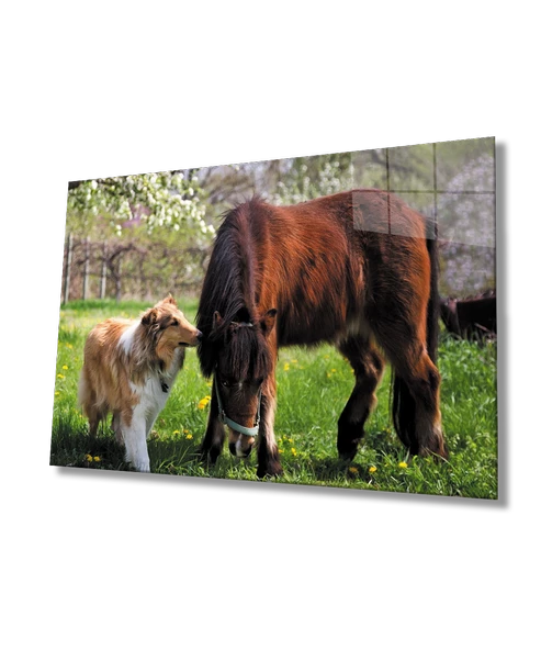 At ve Köpek Dekoratif ve Modern Cam Tablo ürün görseli