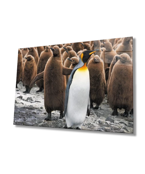 Penguenler Dekoratif ve Modern Cam Tablo ürün görseli