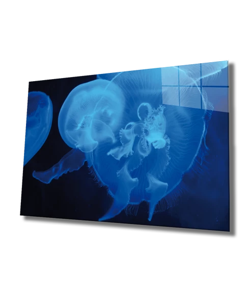 Mavi Denizanası Dekoratif ve Modern Cam Tablo Blue Jellyfish