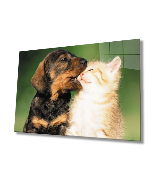 Kedi ve  Köpek Dekoratif ve Modern Cam Tablo ürün görseli