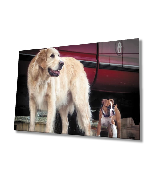 Köpek Dekoratif ve Modern Cam Tablo