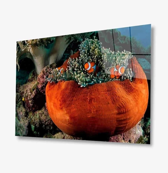 Turuncu Balıklar Dekoratif ve Modern Cam Tablo Orange