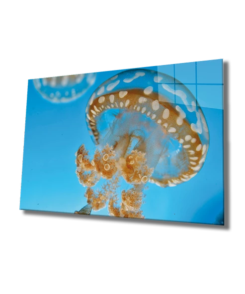 Denizanası Dekoratif ve Modern Cam Tablo Medusae ürün görseli