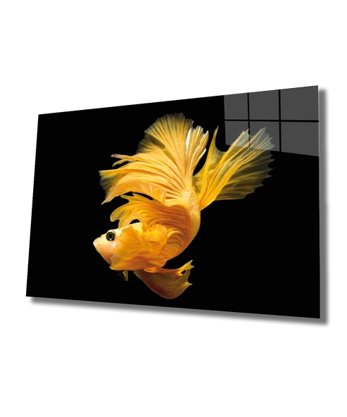 Sarı Balık Dekoratif ve Modern Cam Tablo Yellow Fish ürün görseli