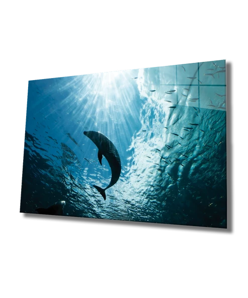 Yunus Balığı Dekoratif ve Modern Cam Tablo Dolphin ürün görseli