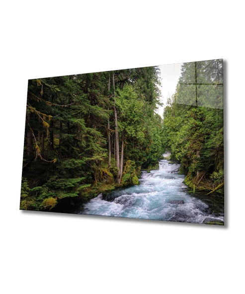 Doğa Dekoratif ve Modern Cam Tablo ürün görseli