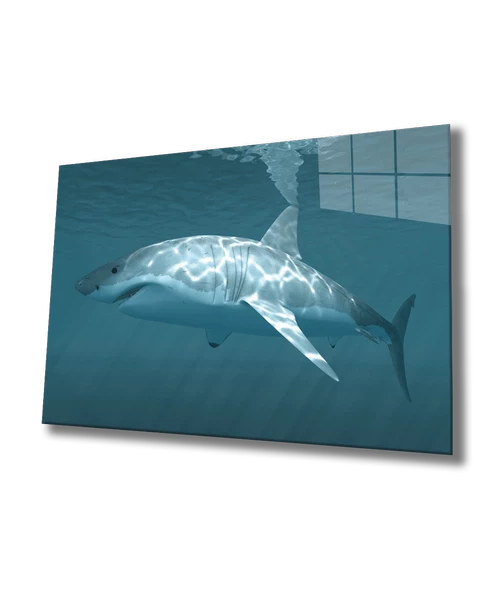 Köpek Balığı Dekoratif ve Modern Cam Tablo Shark