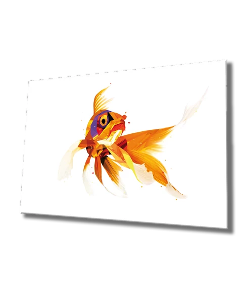 Balık Grafik Çizimi Dekoratif ve Modern Cam Tablo Graphic Painted Fish