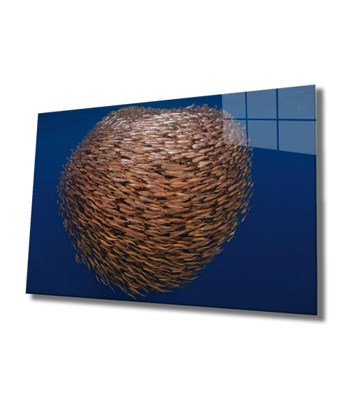 Toplu Balıklar Dekoratif ve Modern Cam Tablo Fishes Marine