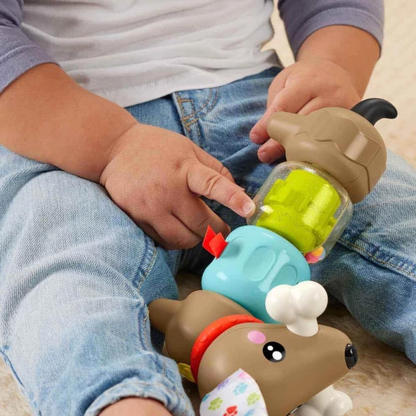 Fisher Price Köpekçikle Eğlenceli Aktiviteler HTW91 - 4