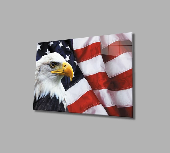 Kartallı Amerika Bayrağı Dekoratif ve Modern Cam Tablo American Eagle Flag