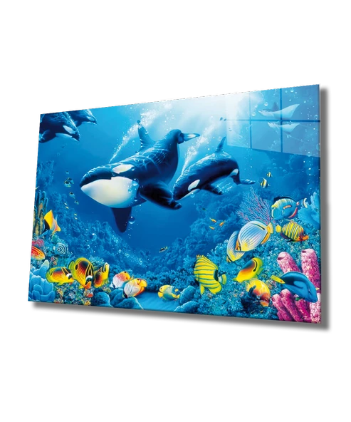 Yunus Balıklar Sualtı Hayatı Dekoratif ve Modern Cam Tablo ürün görseli