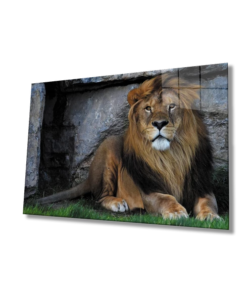 Aslan Dekoratif ve Modern Cam Tablo