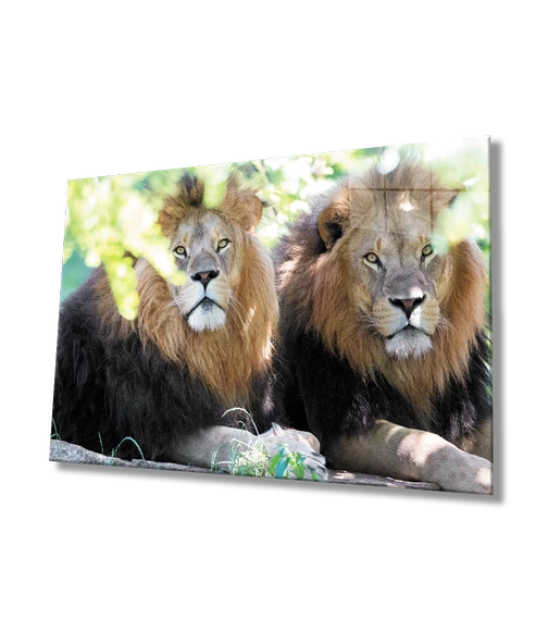 Aslan Dekoratif ve Modern Cam Tablo ürün görseli