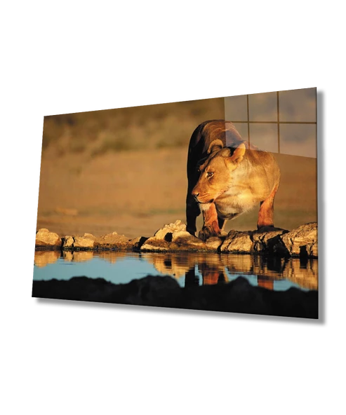 Aslan Dekoratif ve Modern Cam Tablo ürün görseli
