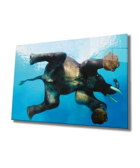 Suda Fil Dekoratif ve Modern Cam Tablo Elephant in Water