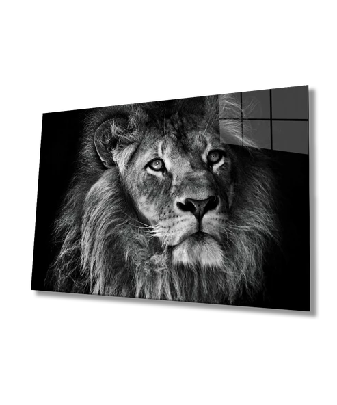 Aslan Dekoratif ve Modern Cam Tablo ürün görseli