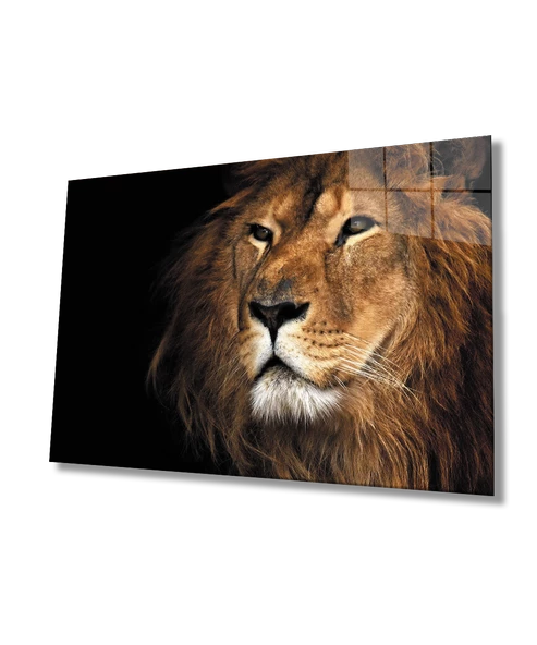 Aslan Dekoratif ve Modern Cam Tablo ürün görseli