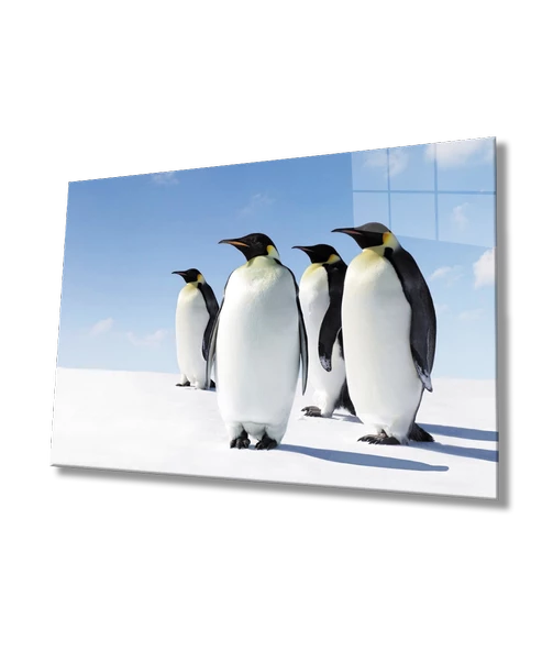 Penguenler Dekoratif ve Modern Cam Tablo ürün görseli