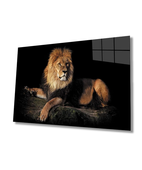 Aslan Dekoratif ve Modern Cam Tablo ürün görseli